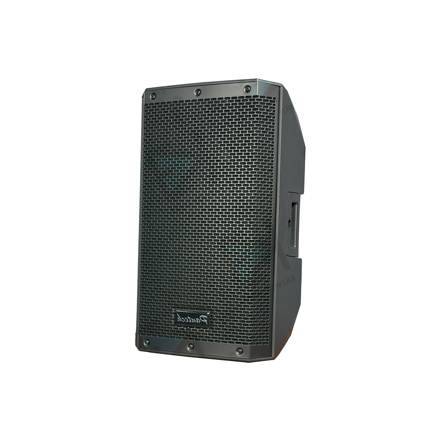 بلندگو پسیو پنتک PANTECH P10